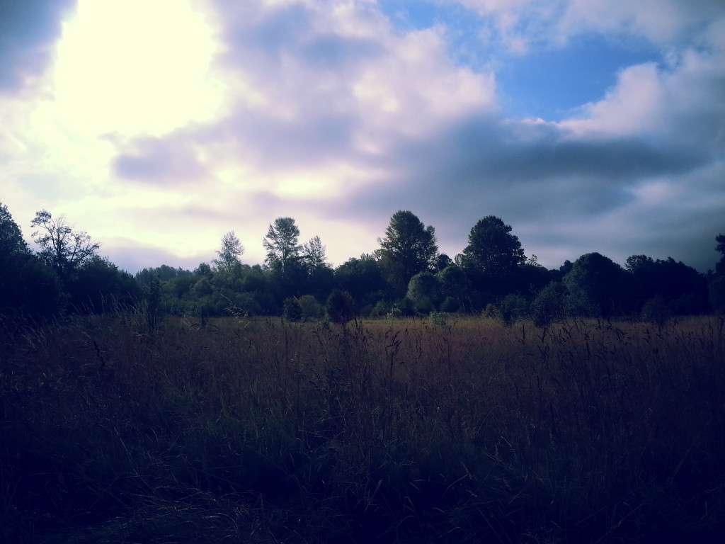 mystic moment and energy pulse