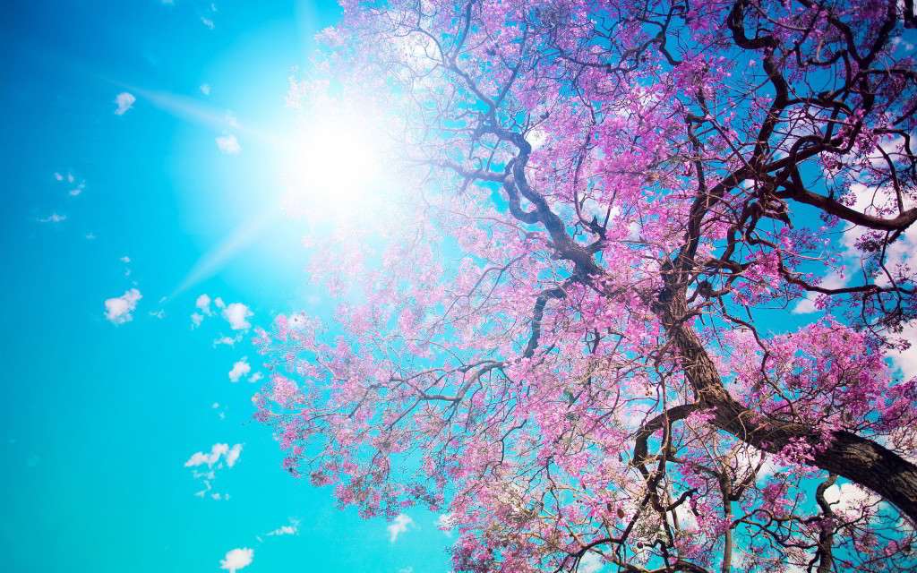 spring-10