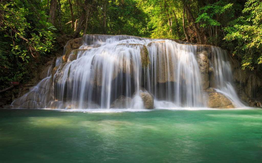 forest-trees-waterfall