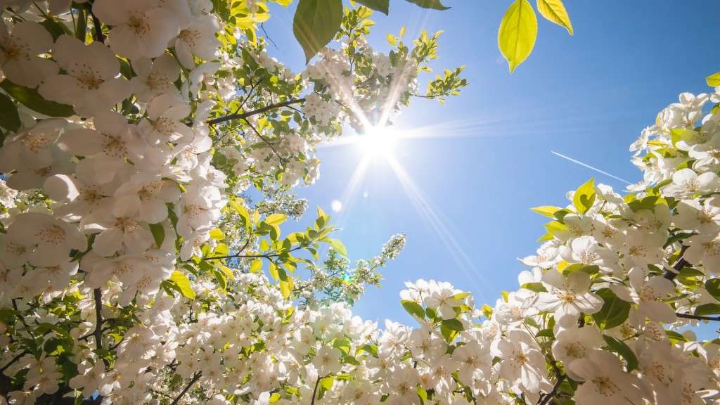 Spring-Wallpapers-2014