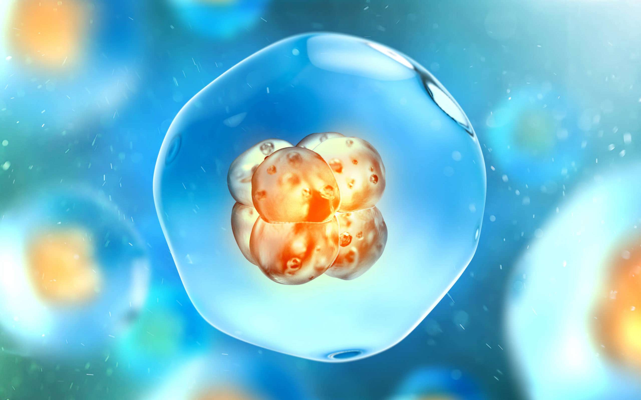 Cellular Memory Article