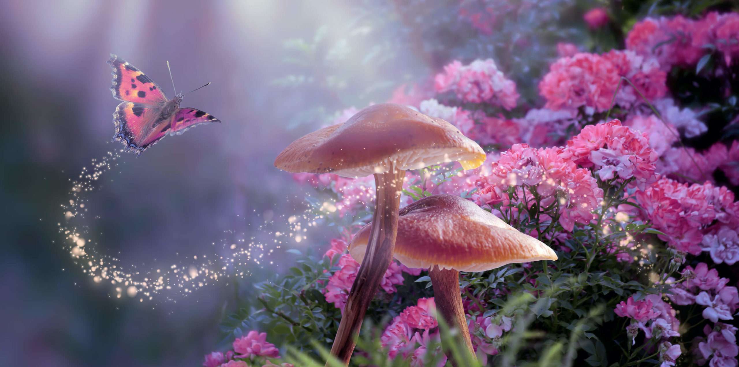 Mystic Moment Article_Tiny