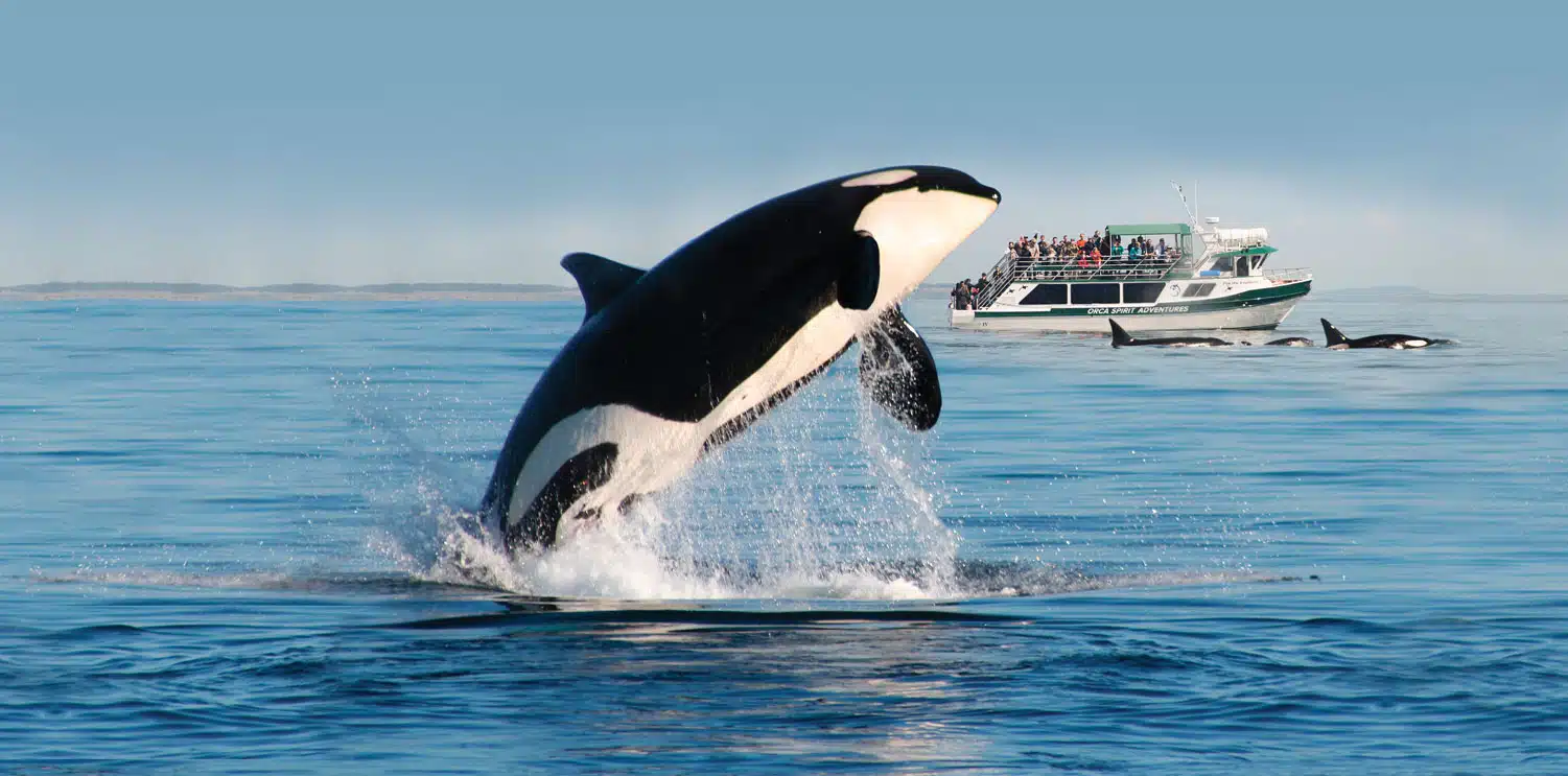 01_Tours_Victoria_Promo