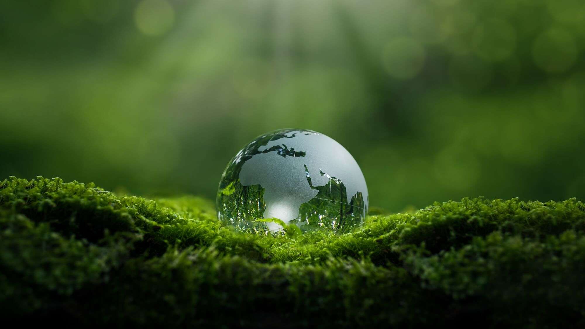 2026_Winter_Mystic Moment